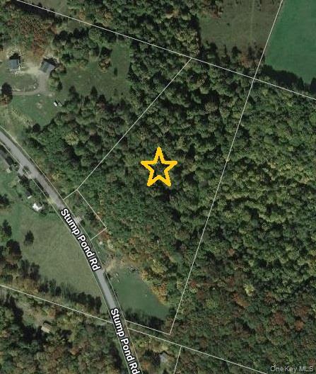 Tbd Stump Pond Road Livingston Manor, NY 12758 - Photo 5 of 12 a bird view of a house