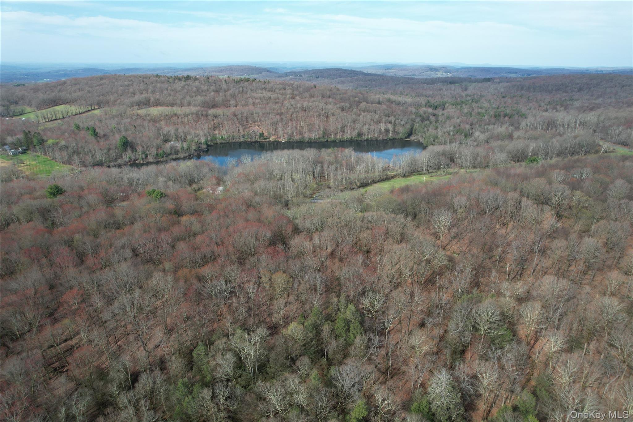 Tbd Stump Pond Road Livingston Manor, NY 12758 - Photo 6 of 12 a view of a lake view