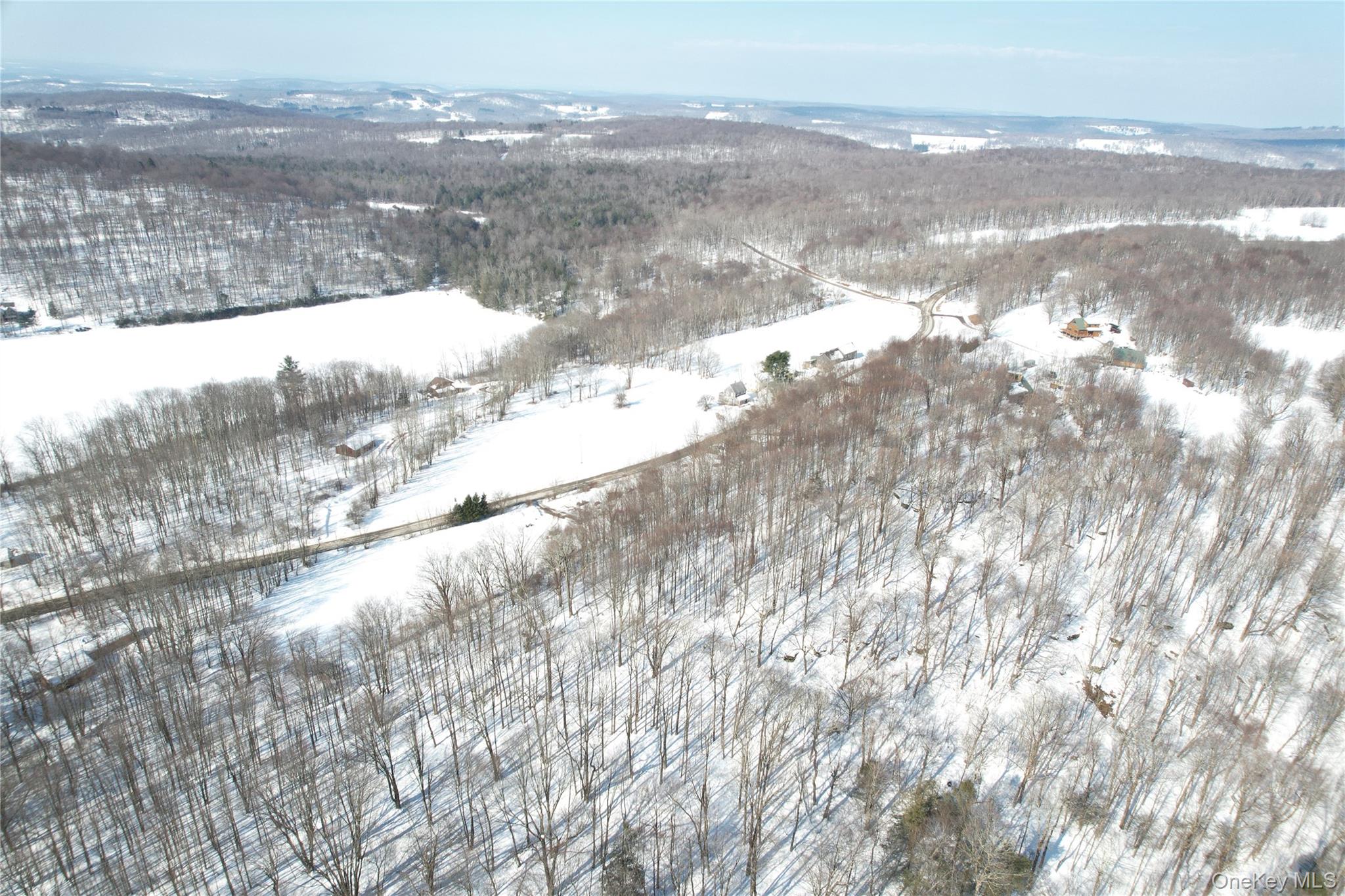 Tbd Stump Pond Road Livingston Manor, NY 12758 - Photo 6 of 12