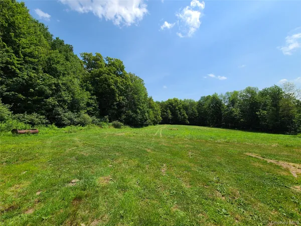 a view of a green field