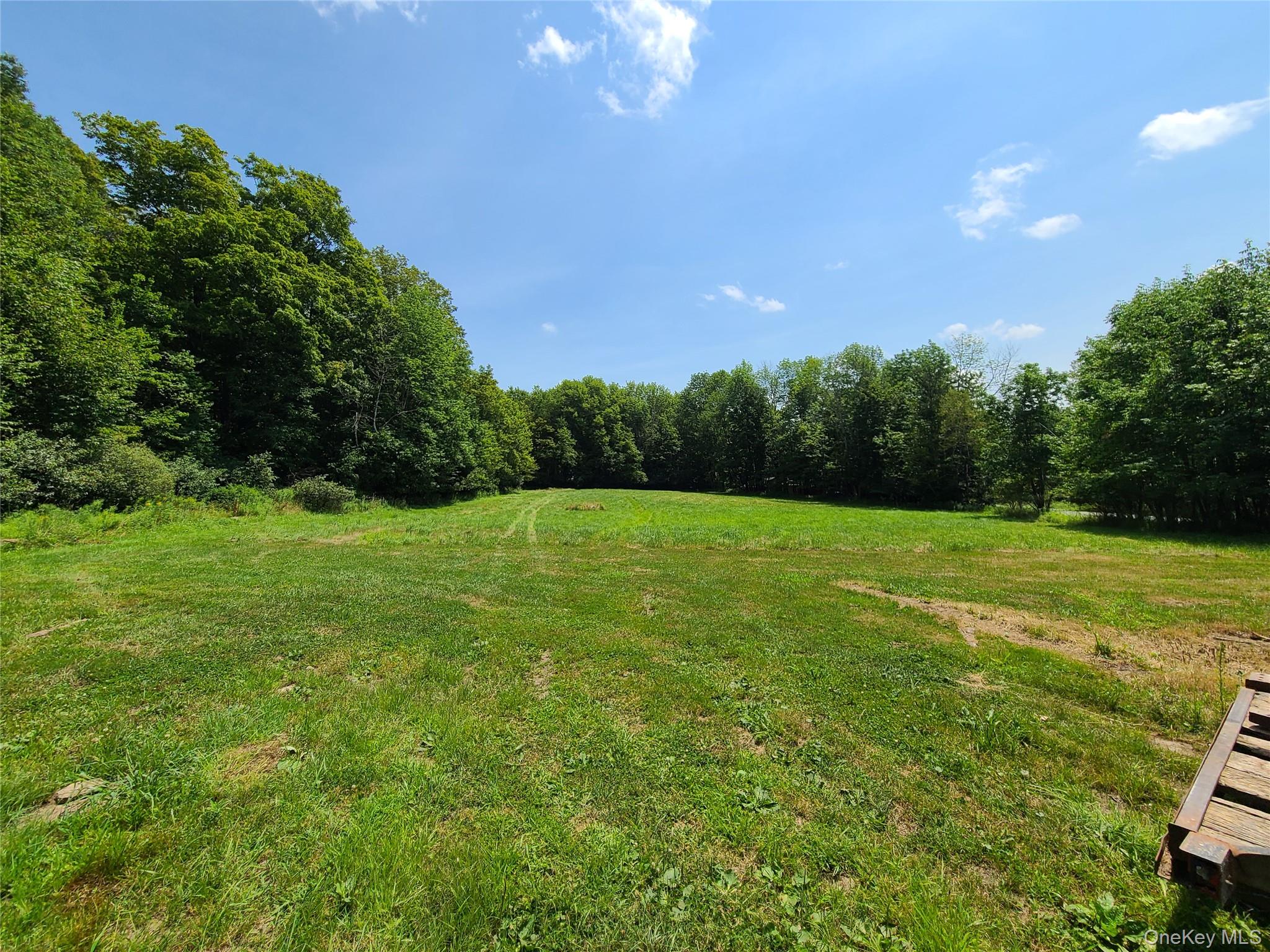 Tbd Stump Pond Road Livingston Manor, NY 12758 - Photo 9 of 12 a view of a green field with a tree in the background