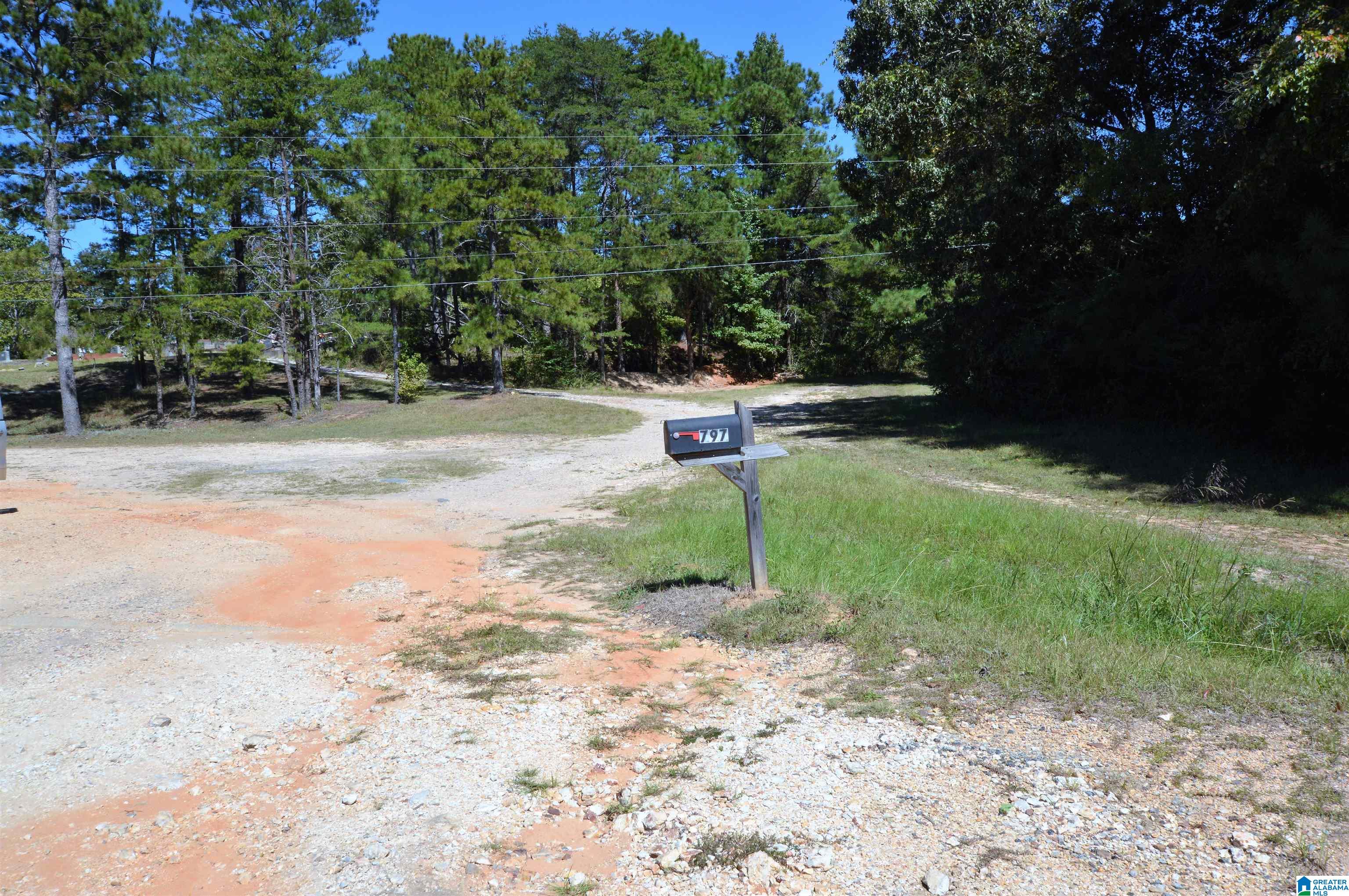 797 Hickory Hill Road West Blocton, AL 35184 - Photo 1 of 18