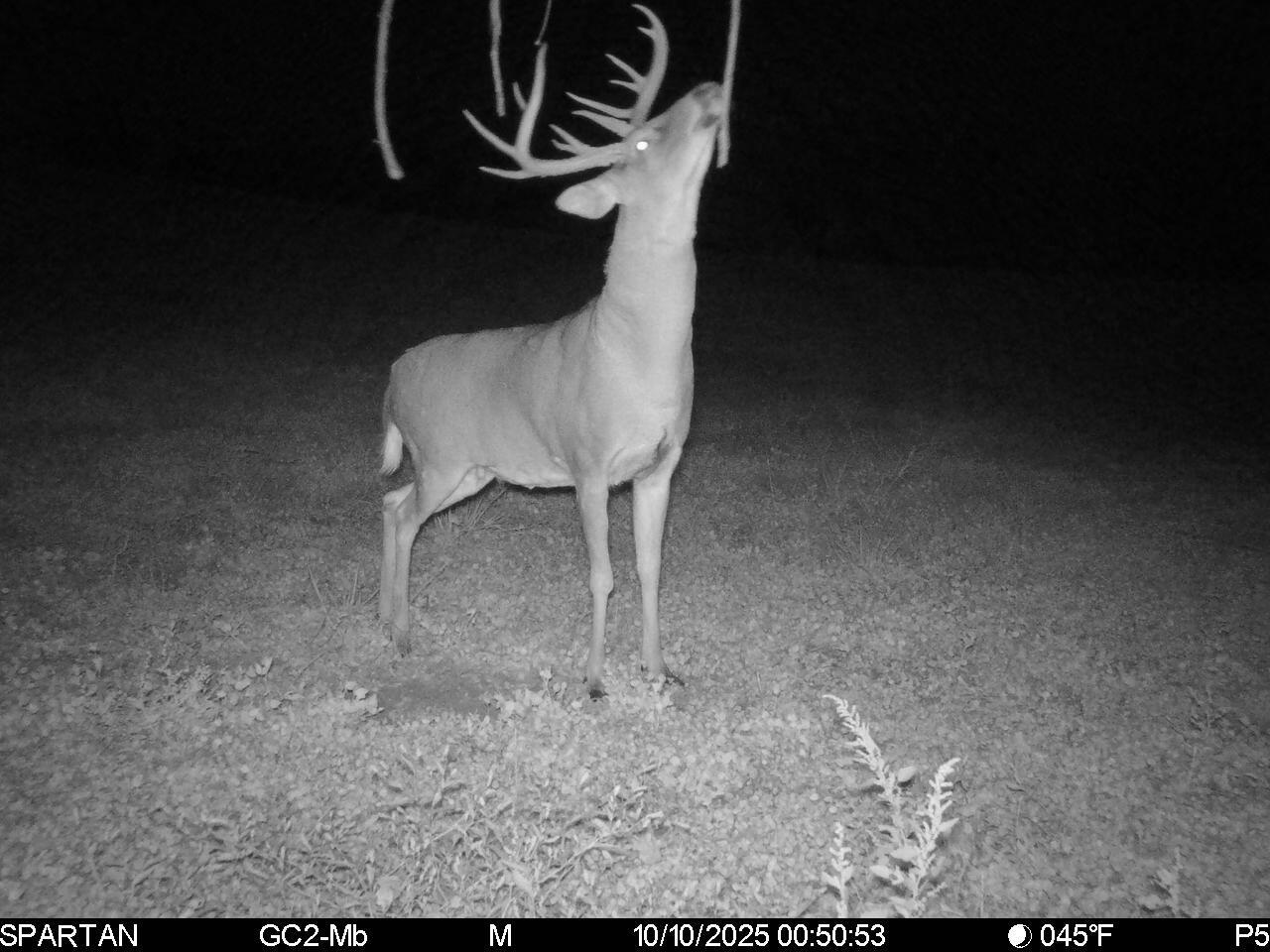 0 Stoneburner Road Northwest Crooksville, OH 43731 - Photo 15 of 26 image5