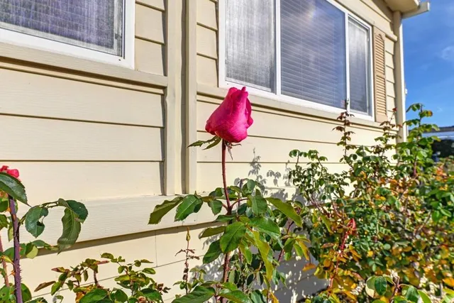 $148,500 | 1622 Spruce Court, Auburn, CA 95603