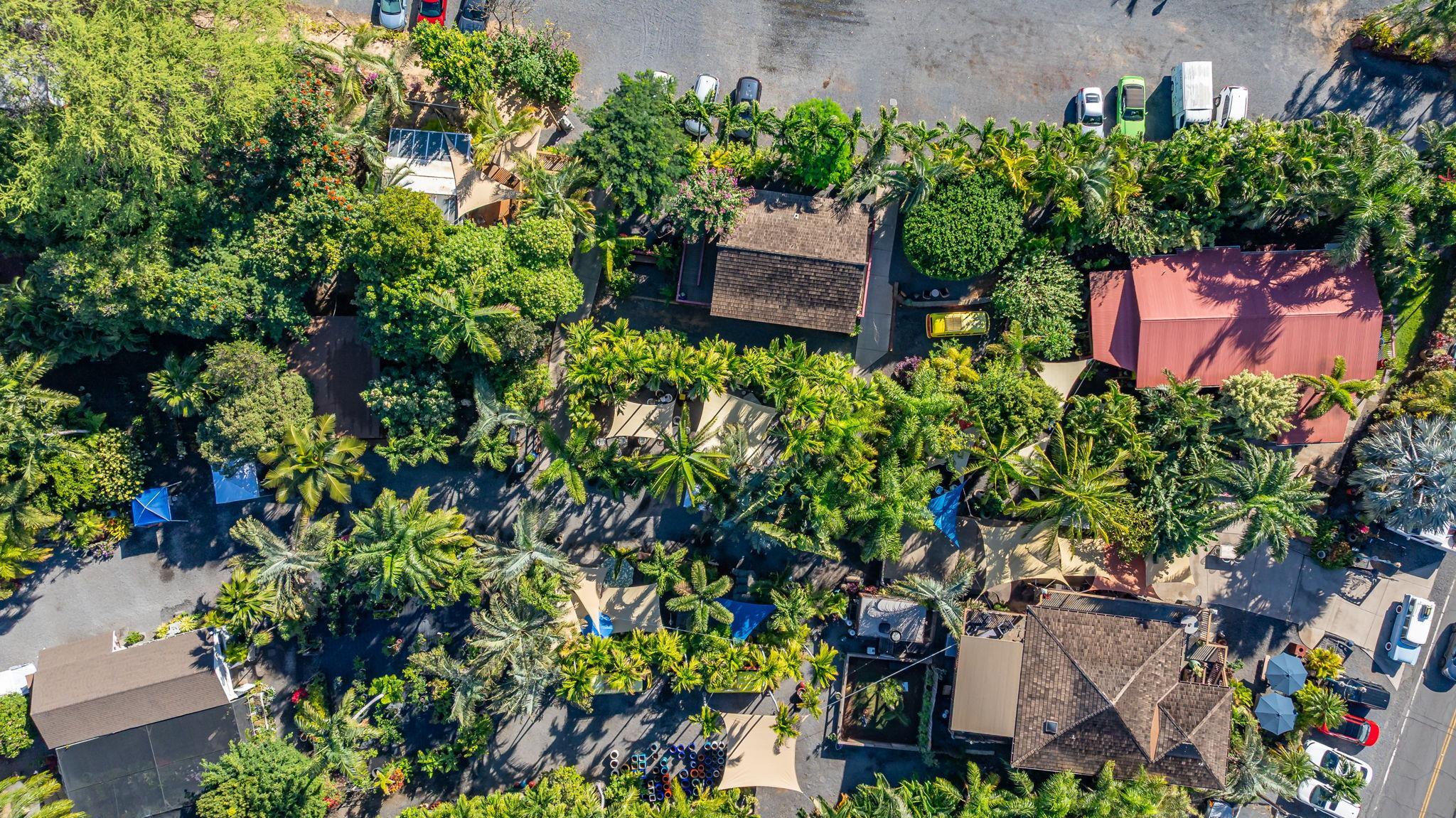 1993 South Kihei Road, Unit 307 Kihei, HI 96753 - Photo 34 of 43