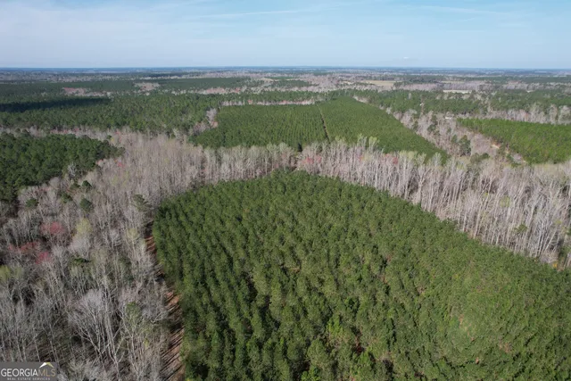 $680,000 | 889 Highway 192, Twin City, GA 30471