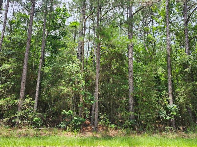 1 Labarre Street Mandeville, LA 70448 - Photo 1 of 1