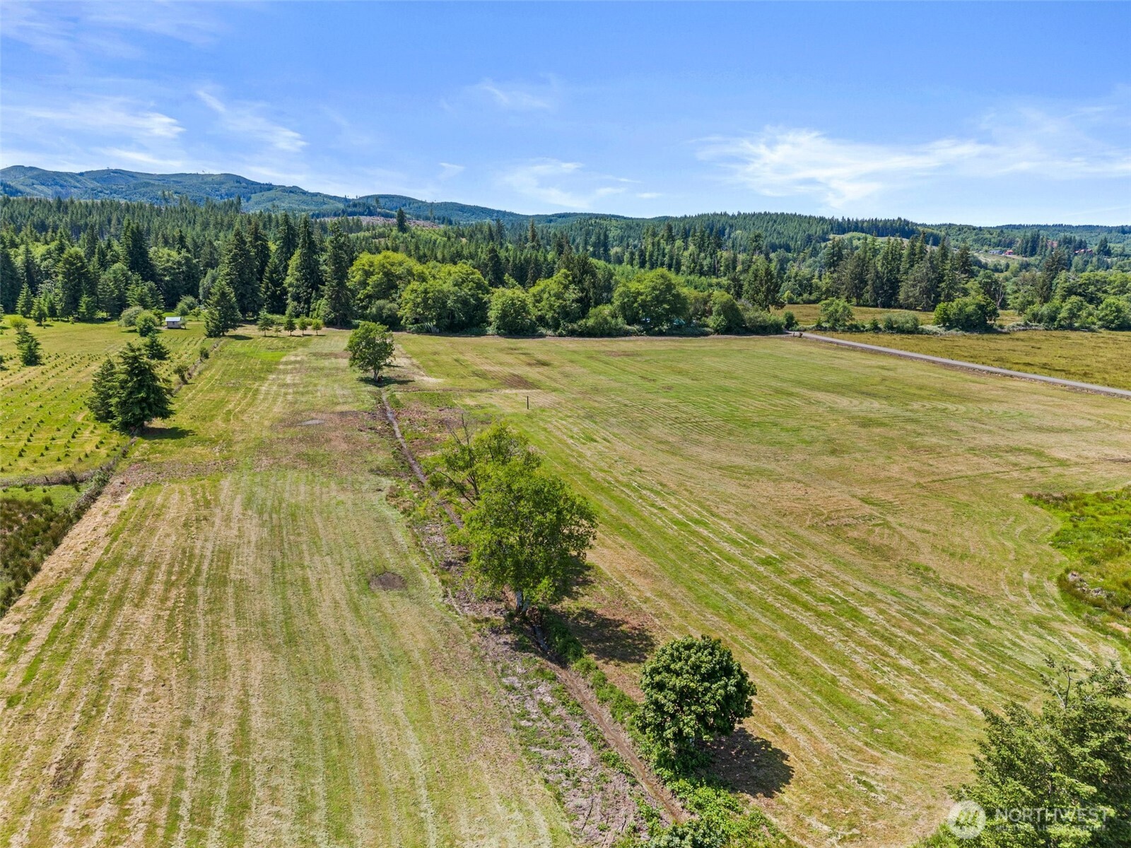 1608 SR 6 Raymond, WA 98577 - Photo 11 of 12 a view of a yard with an outdoor space