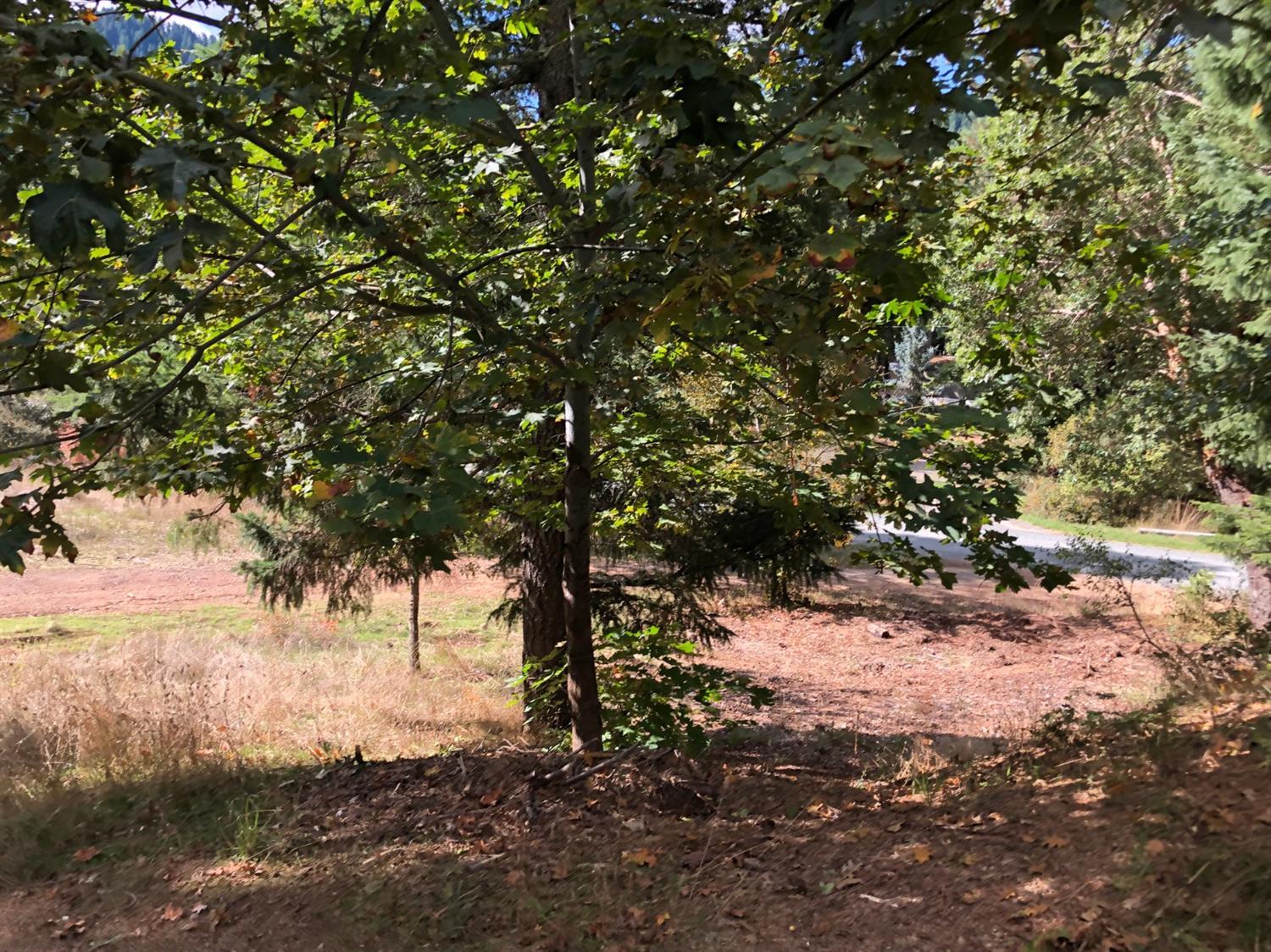 100 Forest Creek Road Selma, OR 97538 - Photo 10 of 14 Additional Photo