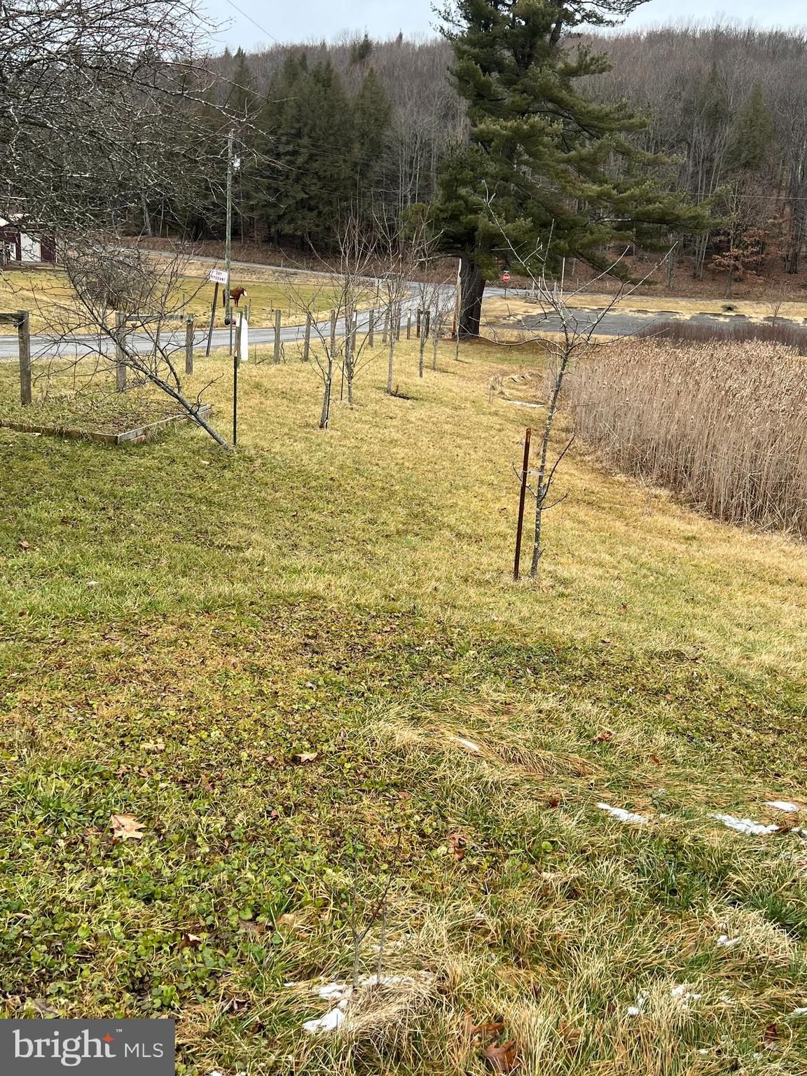 540 McKenzie Road Lonaconing, MD 21539 - Photo 2 of 16 a view of a lake with outdoor space