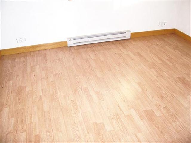 197 South Tiger Whip Road Lena, IL 61048 - Photo 4 of 9 Gallery Image 4