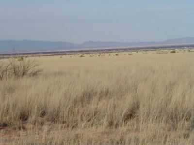 500 West Treasure Road Pearce, AZ 85625 - Photo 2 of 2