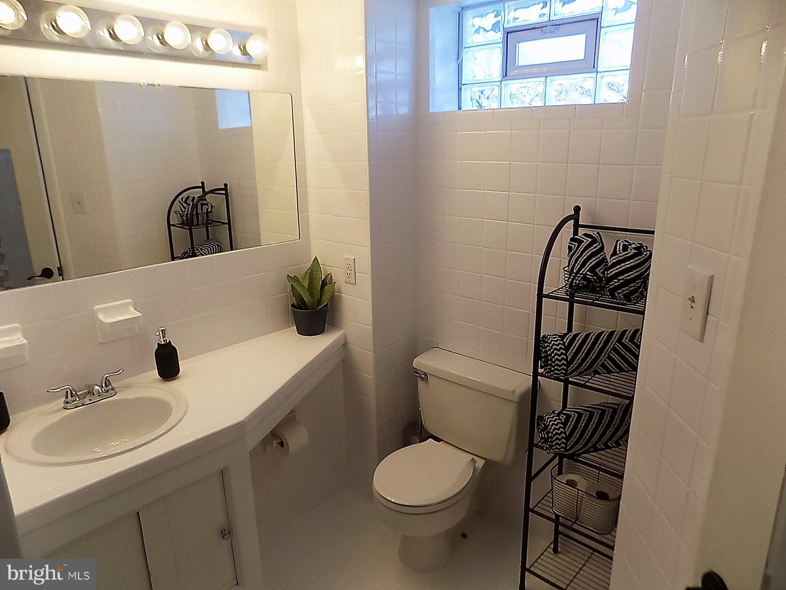 1008 Lakemont Road Baltimore, MD 21228 - Photo 23 of 29 Lower Level Bath