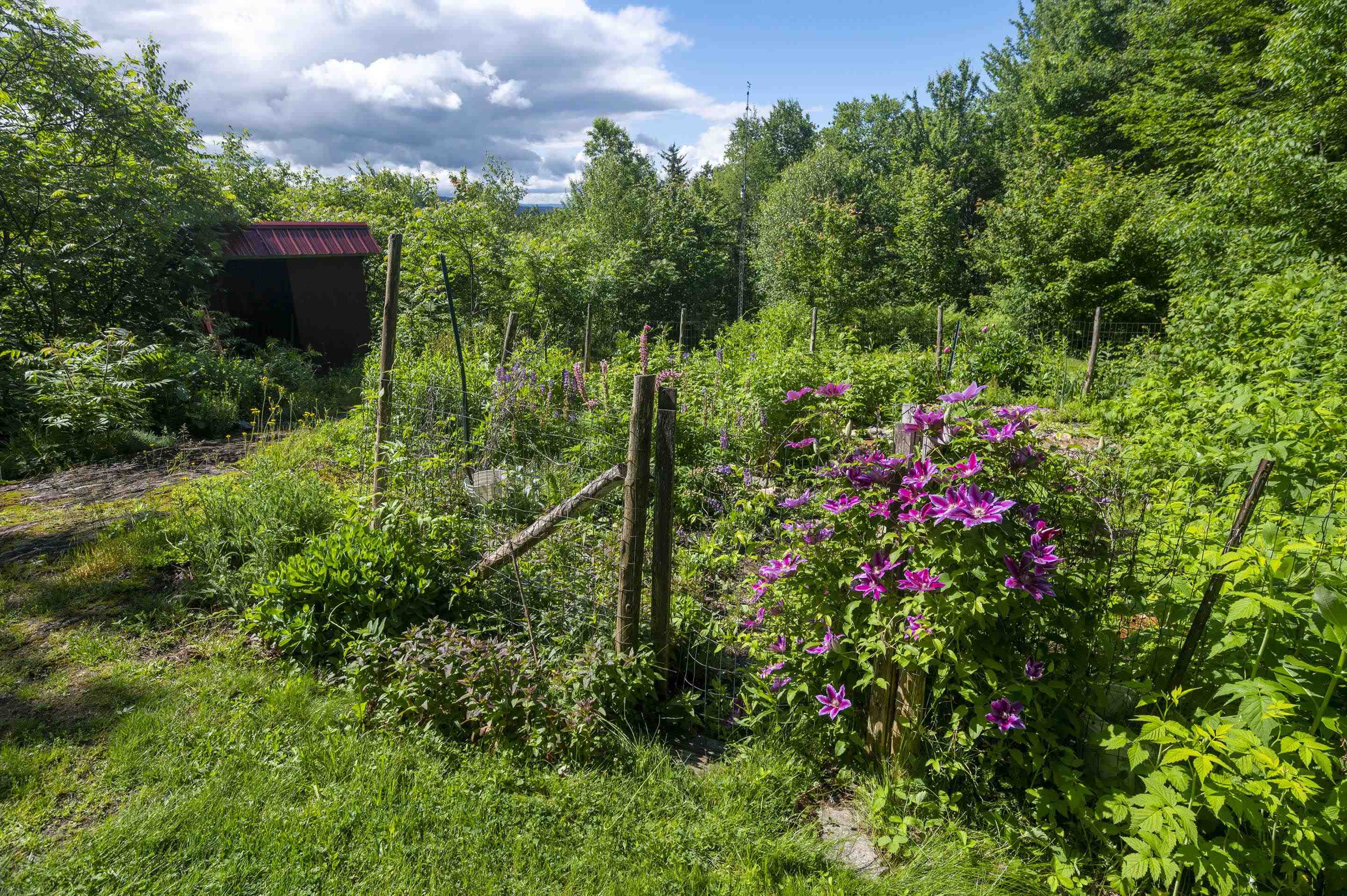 186 MacKenzie Road Worcester, VT 05682 - Photo 39 of 44