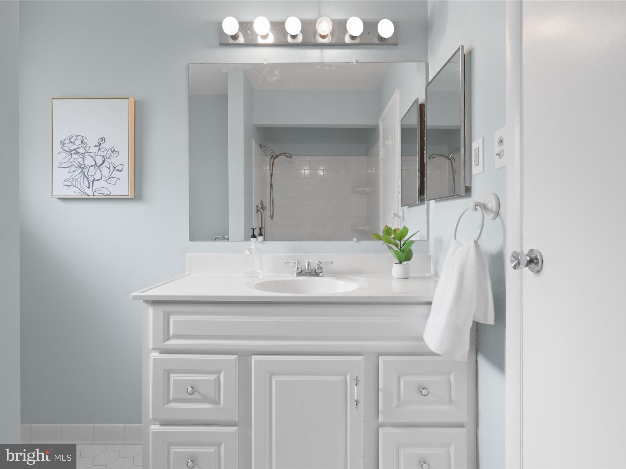 4800 Rim Rock Road Rockville, MD 20853 - Photo 22 of 45 Master Bath