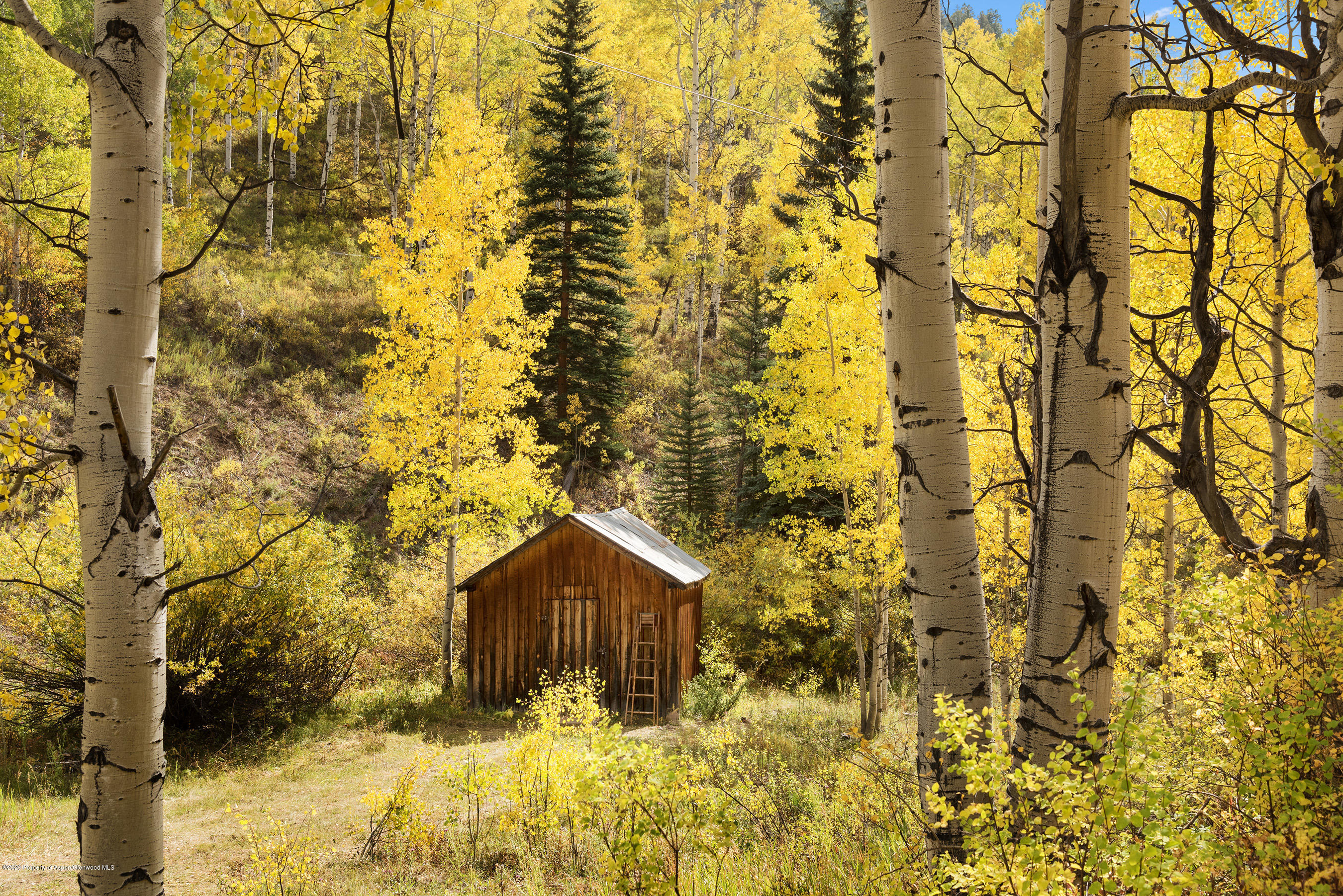 29850 Brush Creek Road Basalt, CO 81621 - Photo 5 of 39 29850BrushCr_Med20092206