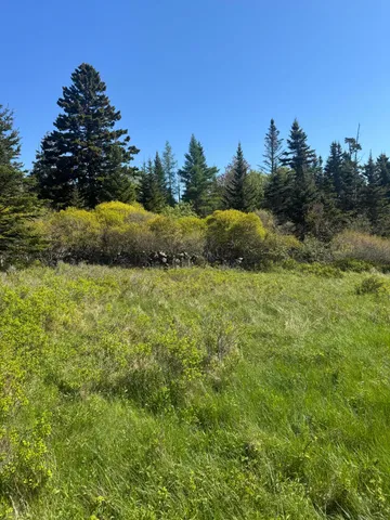$625,000 | Lot #5 George Wright Road, Vinalhaven, ME 04863
