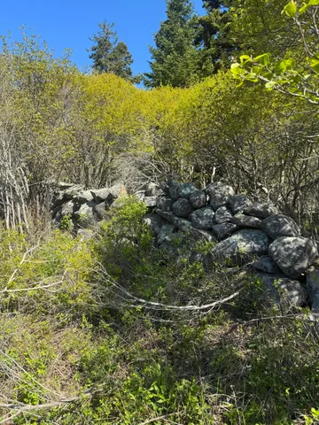 $625,000 | Lot #5 George Wright Road, Vinalhaven, ME 04863