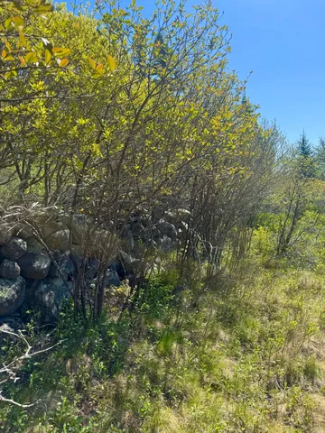 $625,000 | Lot #5 George Wright Road, Vinalhaven, ME 04863