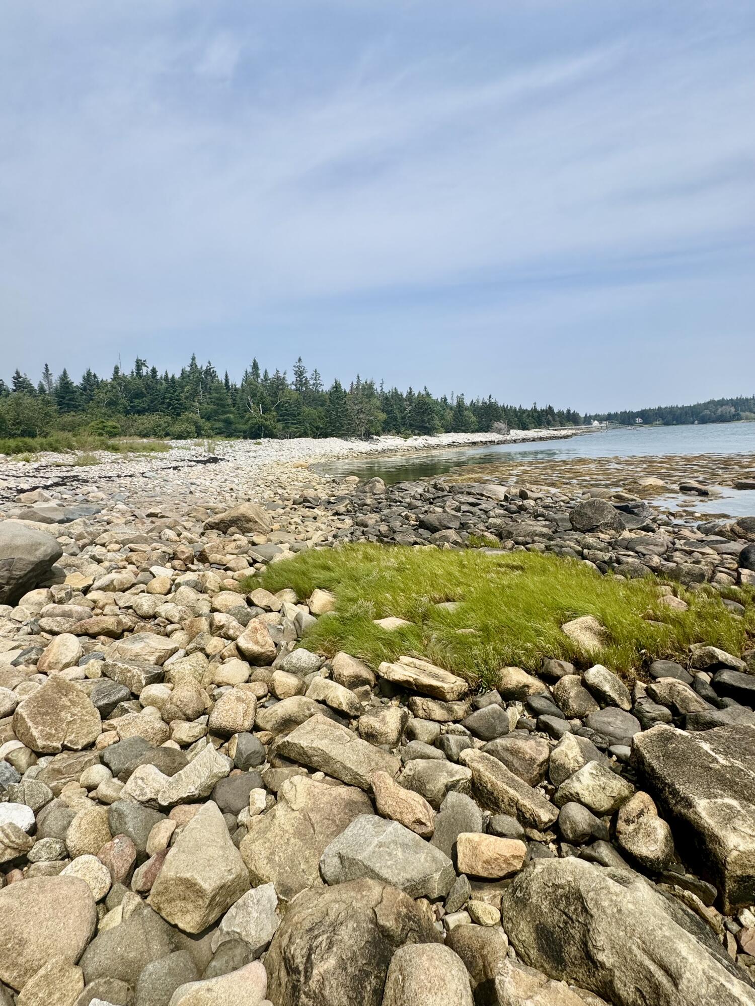 Lot #5 George Wright Road Vinalhaven, ME 04863 - Photo 3 of 28 IMG_0460