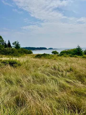 $625,000 | Lot #5 George Wright Road, Vinalhaven, ME 04863