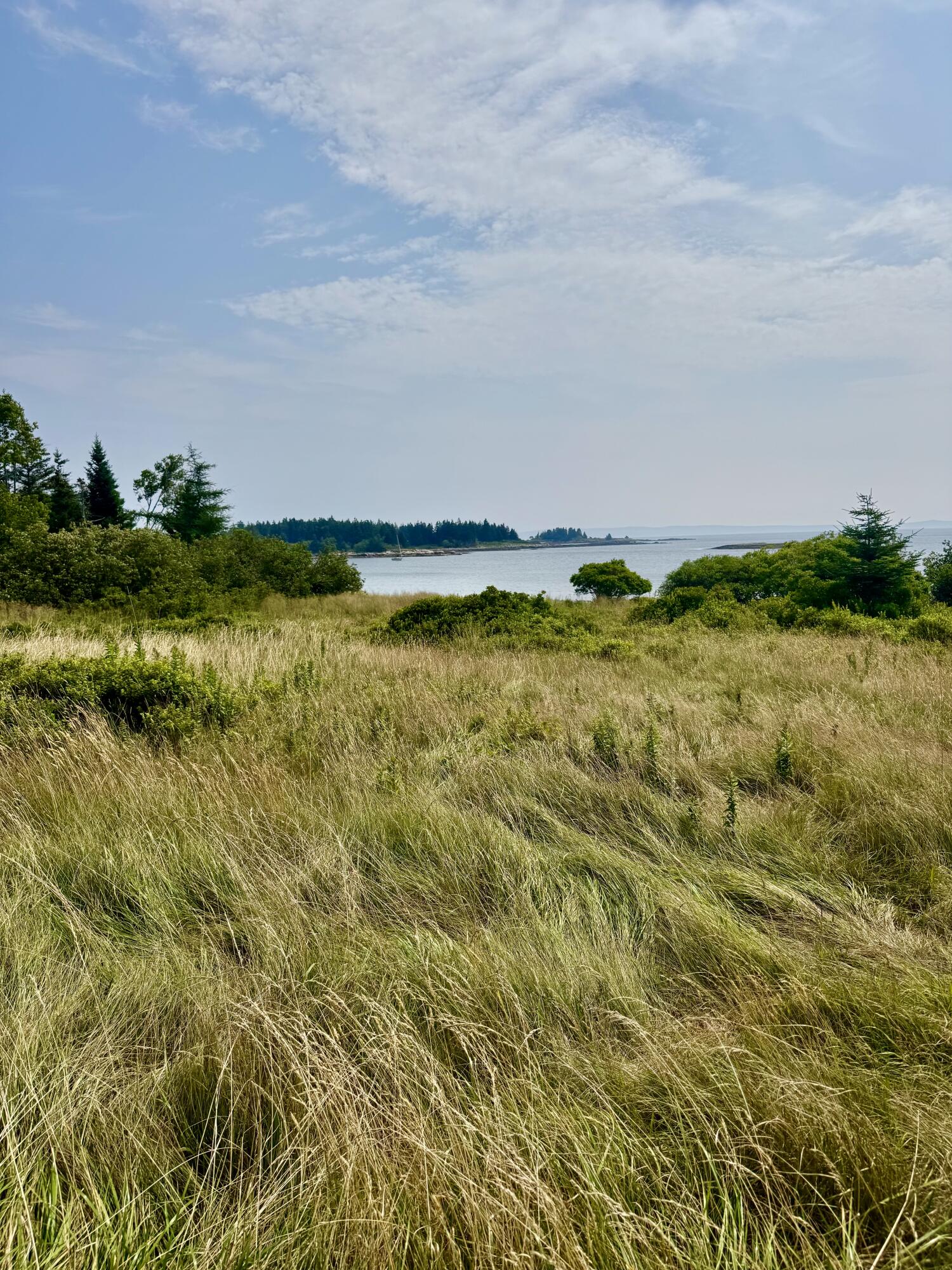 Lot #5 George Wright Road Vinalhaven, ME 04863 - Photo 6 of 29 IMG_0454