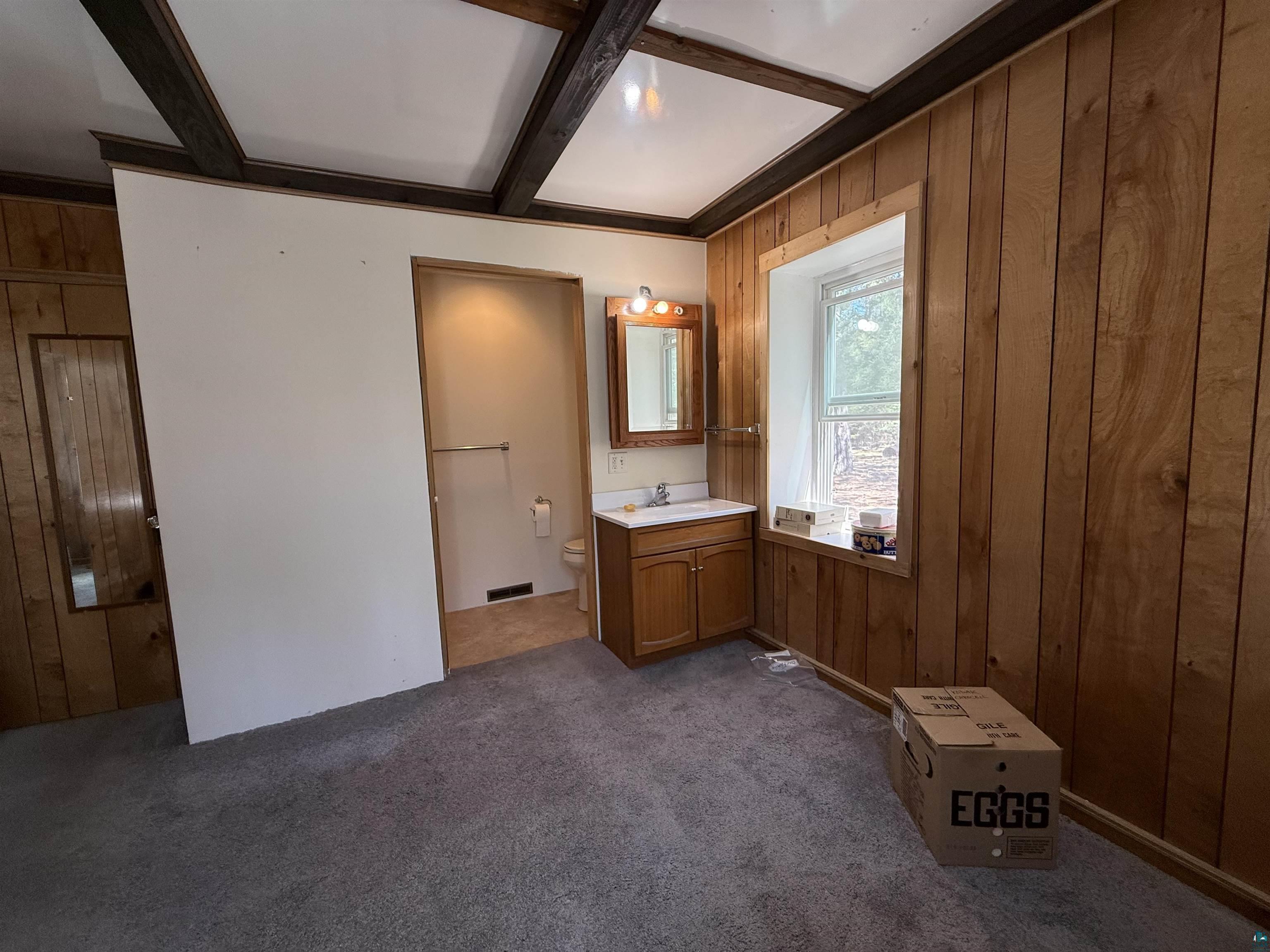 7620 County Rd T Wascott, WI 54859 - Photo 13 of 17 Bathroom with wood walls, vanity, dark carpet, and coffered ceiling