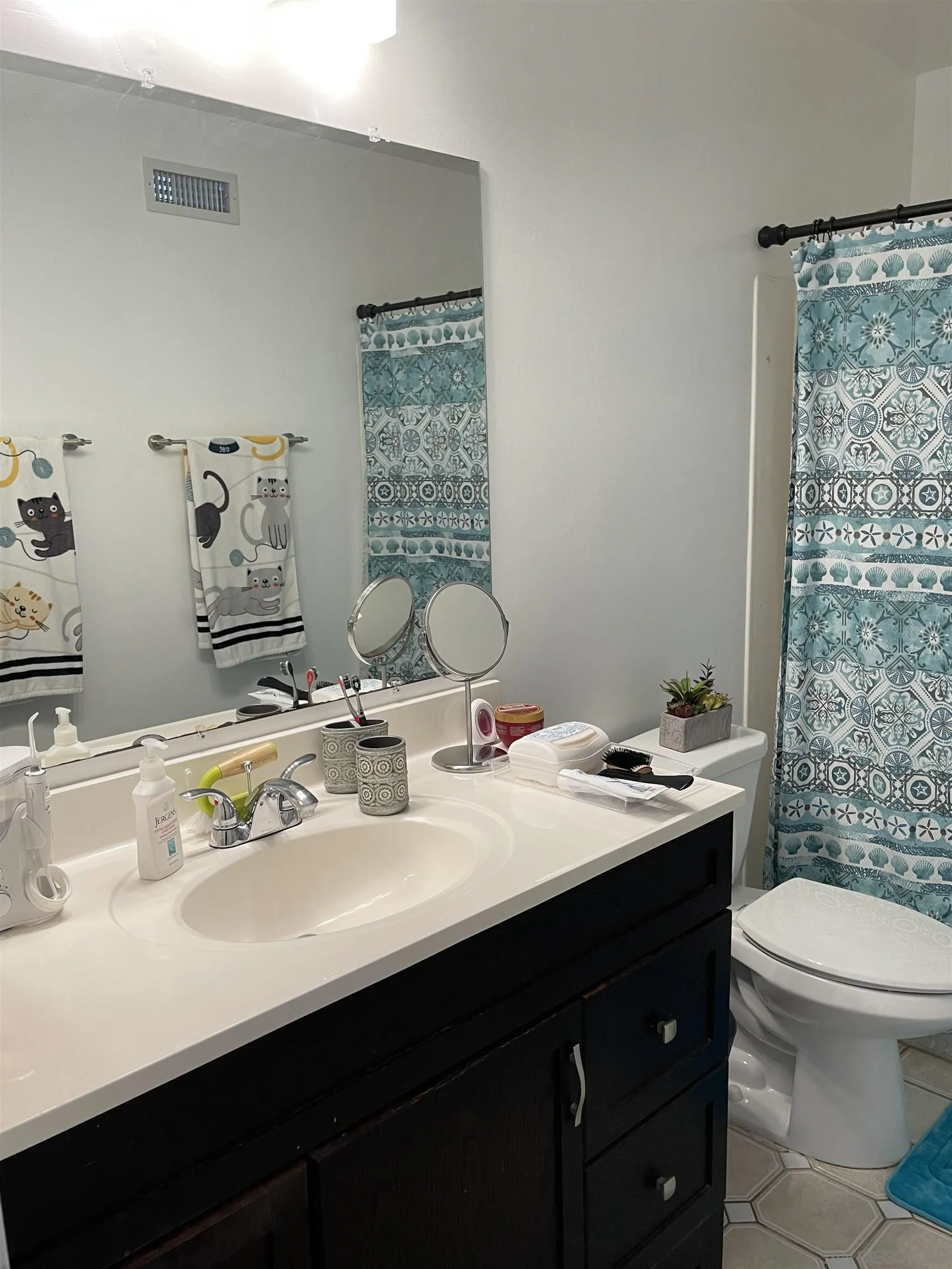 10306 Leila Lane Santee, CA 92071 - Photo 24 of 31 a bathroom with a double vanity sink toilet and a mirror