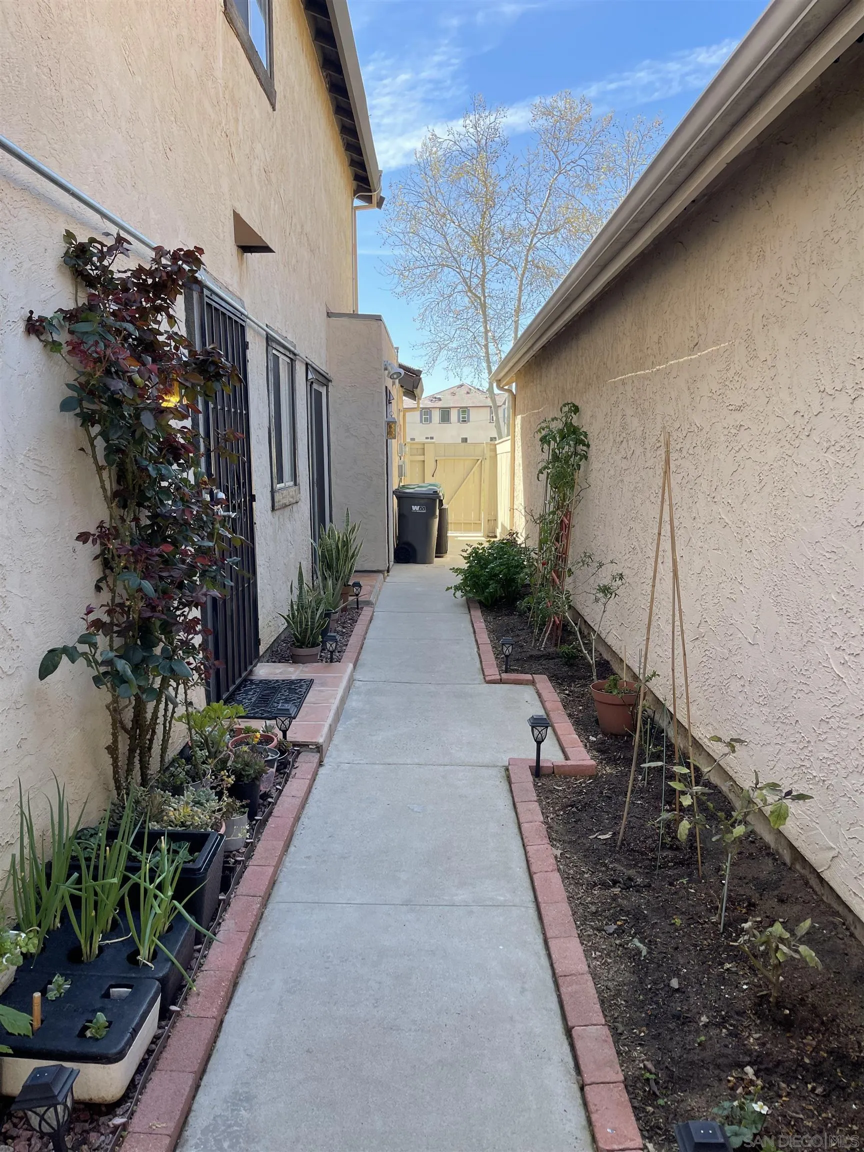 10306 Leila Lane Santee, CA 92071 - Photo 5 of 31 a view of a backyard with potted plants