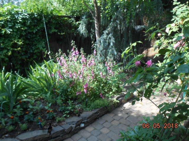 132 Graham Way Talent, OR 97540 - Photo 22 of 24 Not near enough space for all the pictur