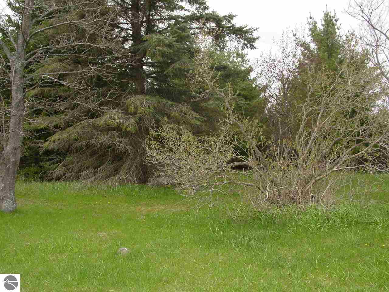 1689 South 37 Road Cadillac, MI 49601 - Photo 17 of 20 1793225-16.JPG