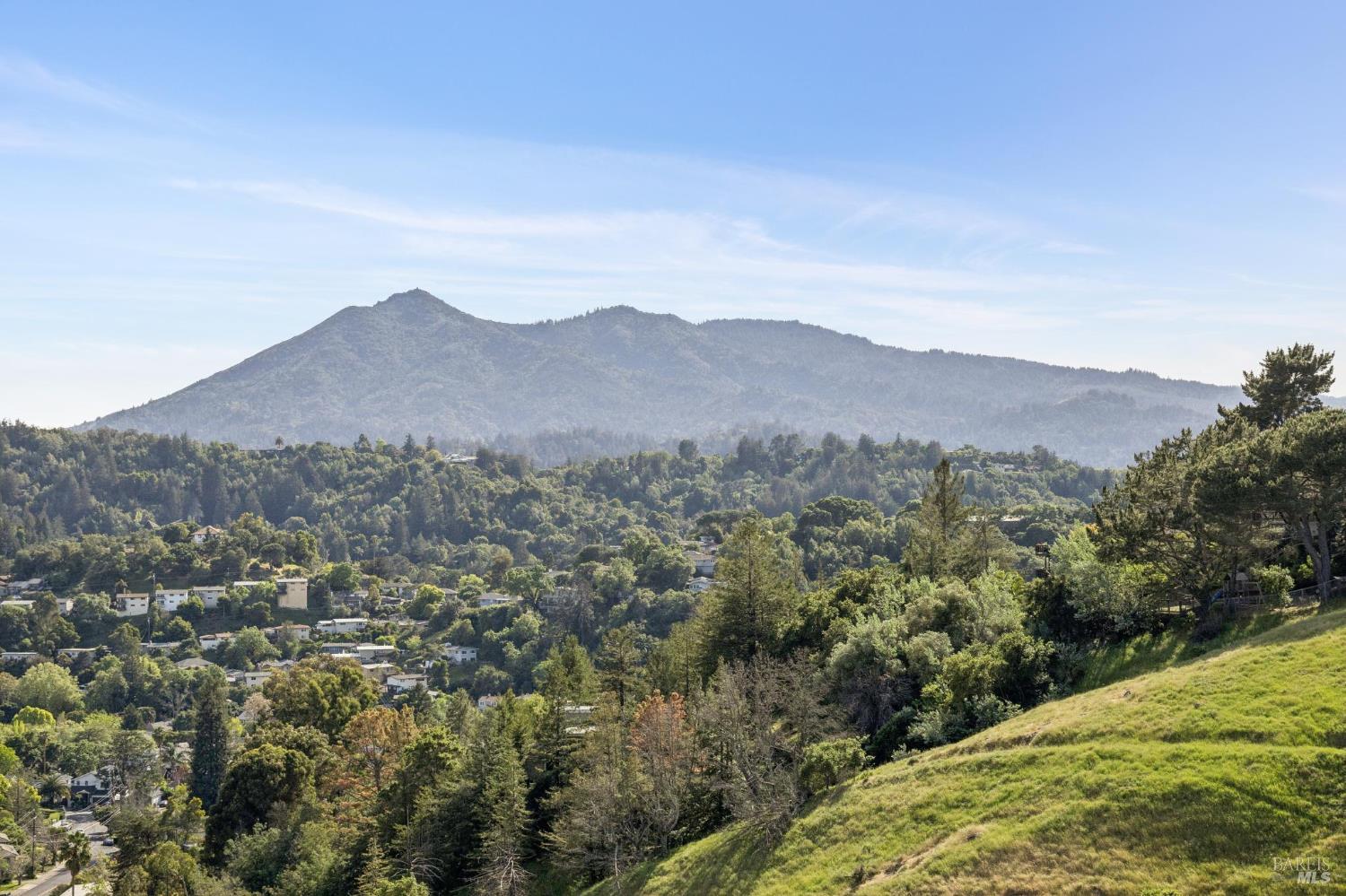 65 Valley View Avenue San Rafael, CA 94901 - Photo 46 of 48