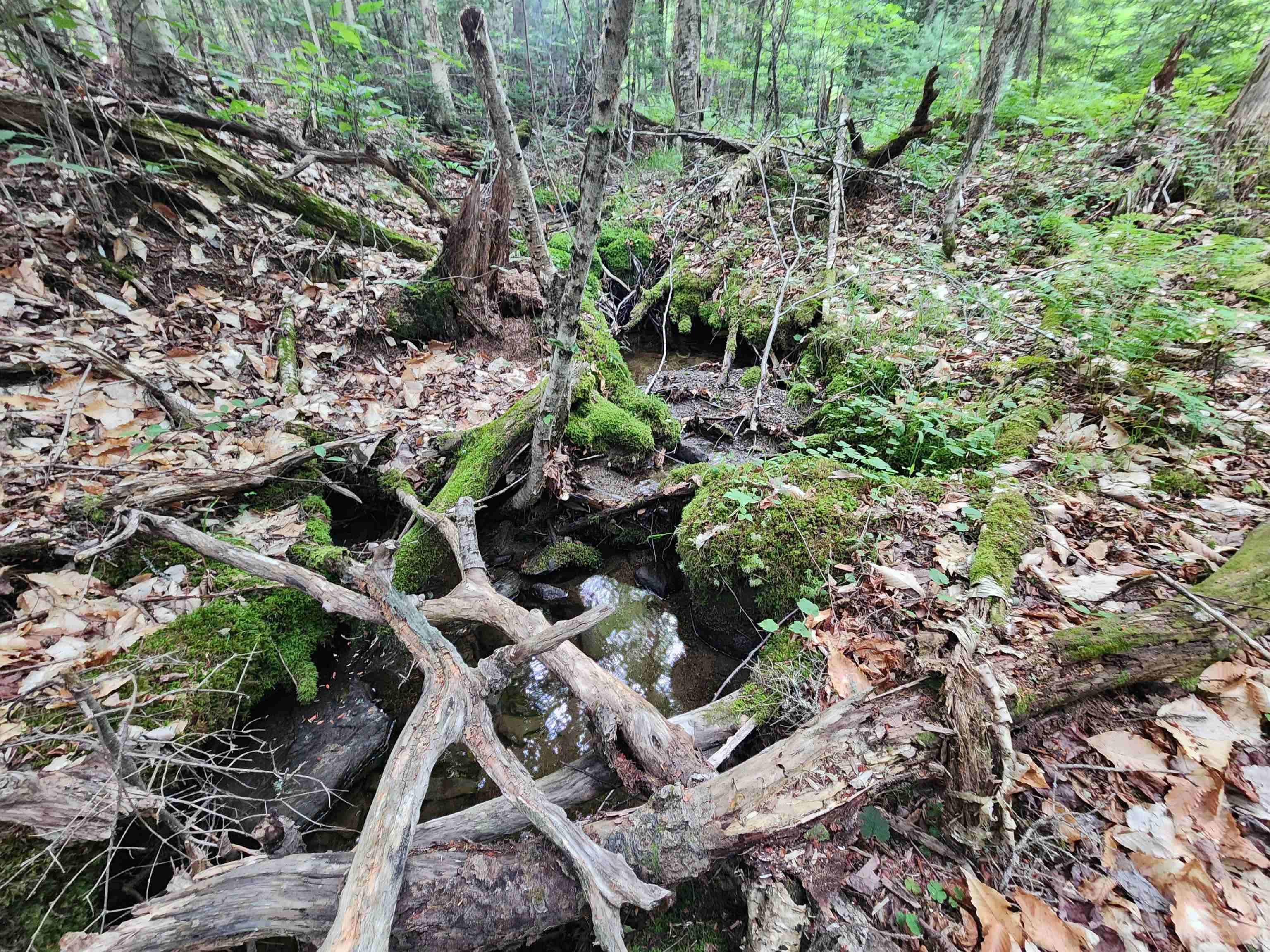 Lot 3 North Mountain Pond Road, Unit R11/21 Errol, NH 03579 - Photo 6 of 15