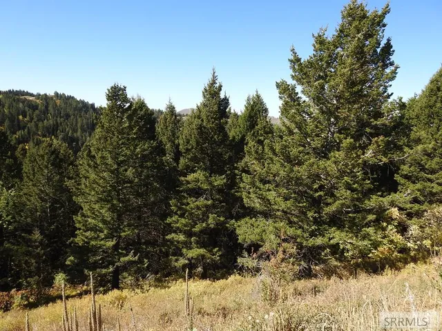 $139,900 | Tbd Sellers Creek Road, Firth, ID 83236