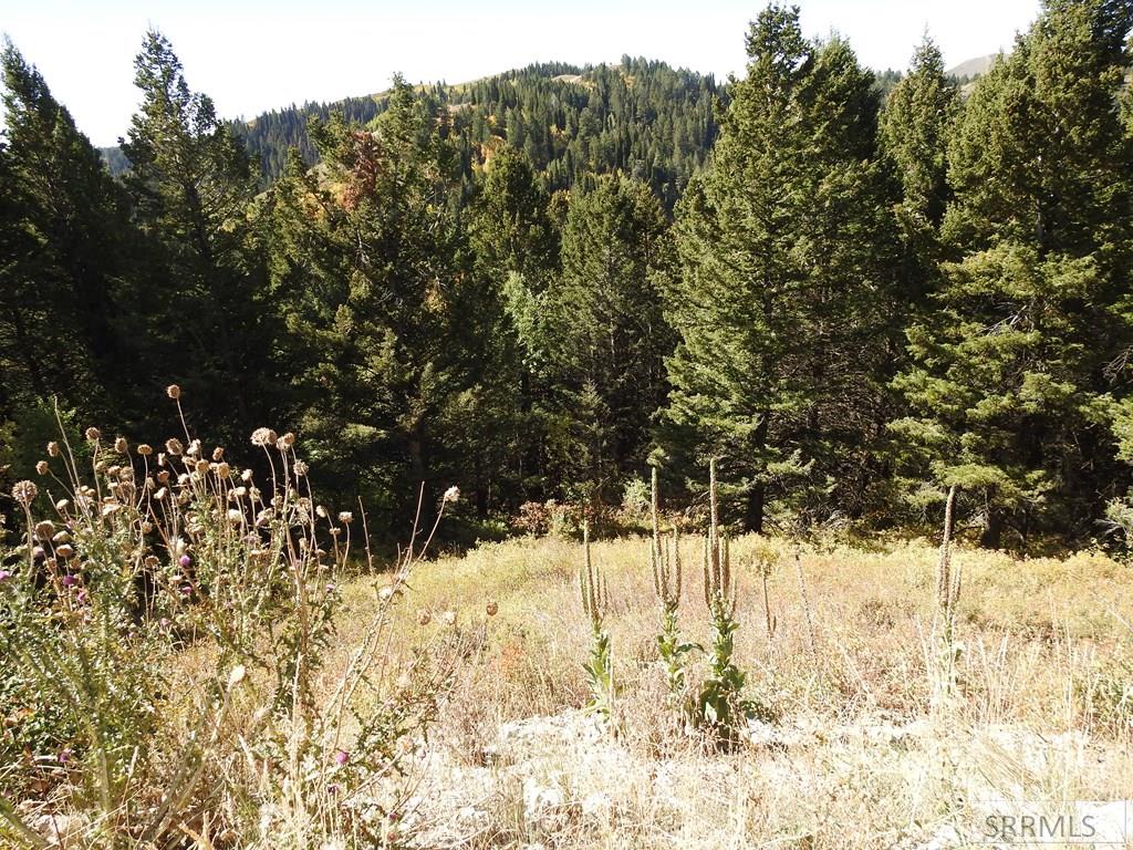 Tbd Sellers Creek Road Firth, ID 83236 - Photo 12 of 28