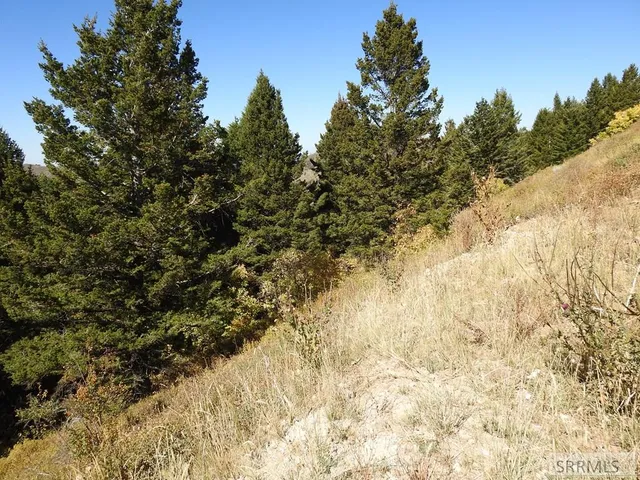 $139,900 | Tbd Sellers Creek Road, Firth, ID 83236