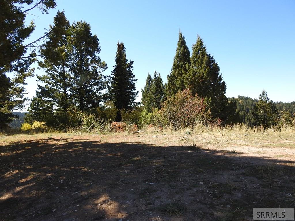 Tbd Sellers Creek Road Firth, ID 83236 - Photo 14 of 28