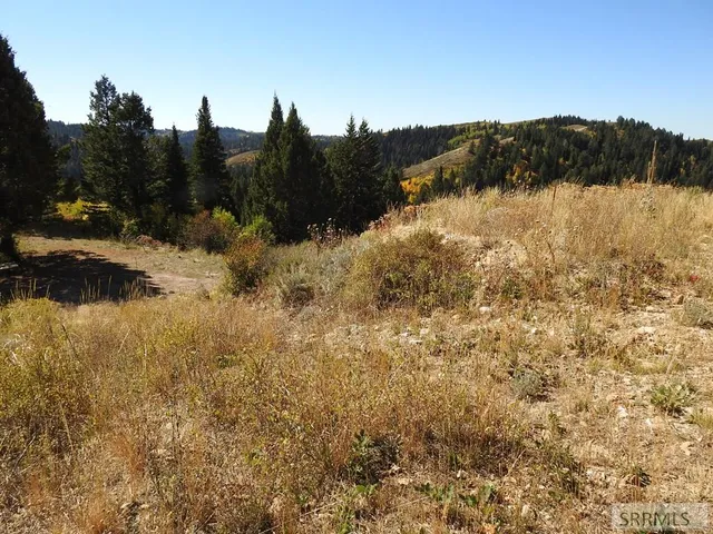 $139,900 | Tbd Sellers Creek Road, Firth, ID 83236