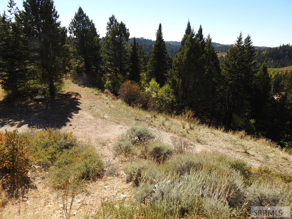 Tbd Sellers Creek Road Firth, ID 83236 - Photo 16 of 28