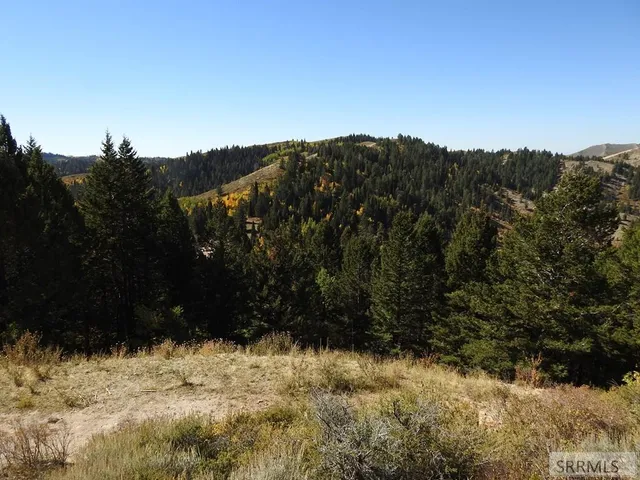 $139,900 | Tbd Sellers Creek Road, Firth, ID 83236