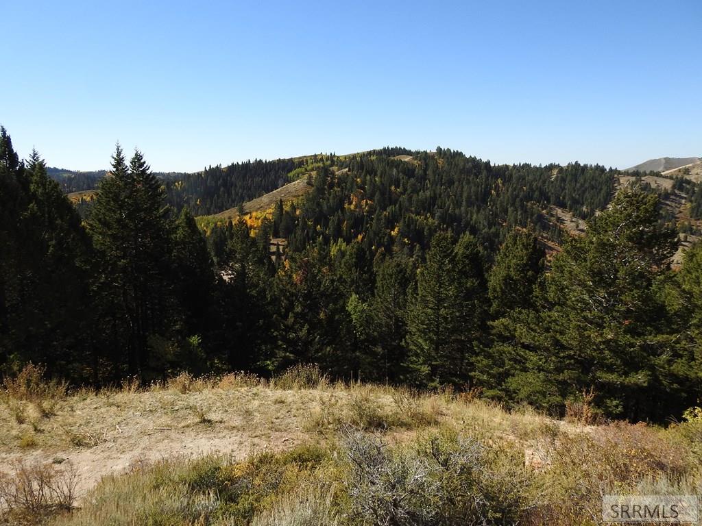 Tbd Sellers Creek Road Firth, ID 83236 - Photo 17 of 28