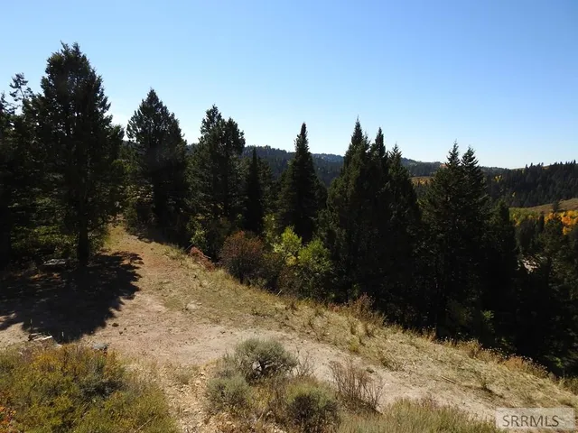 $139,900 | Tbd Sellers Creek Road, Firth, ID 83236