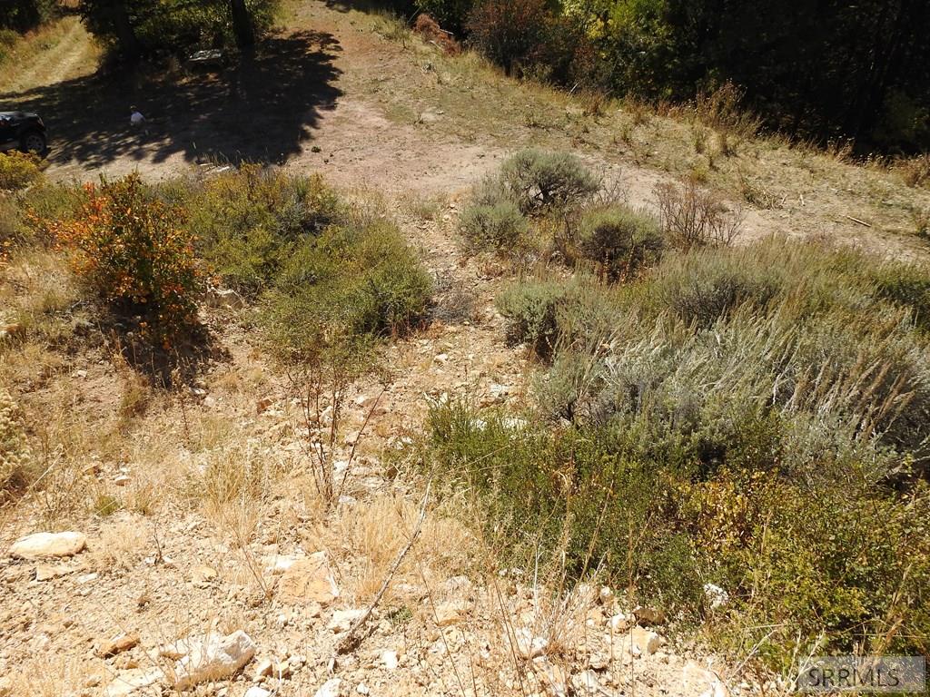 Tbd Sellers Creek Road Firth, ID 83236 - Photo 19 of 28