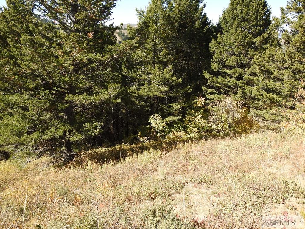 Tbd Sellers Creek Road Firth, ID 83236 - Photo 20 of 28