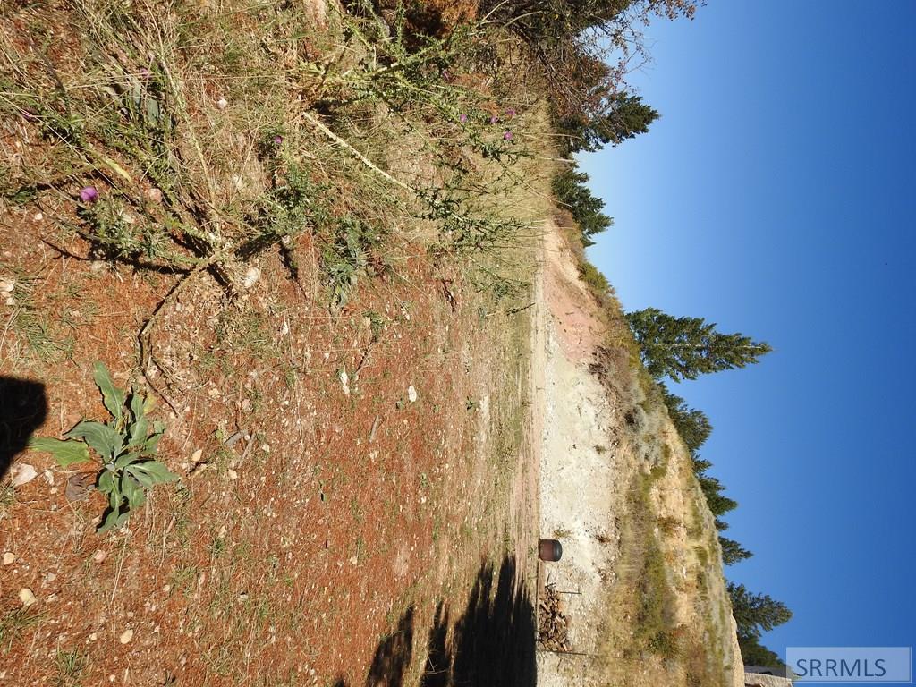 Tbd Sellers Creek Road Firth, ID 83236 - Photo 21 of 28