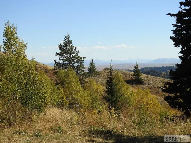 $139,900 | Tbd Sellers Creek Road, Firth, ID 83236