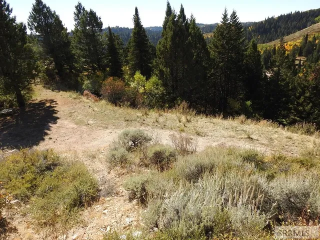 $139,900 | Tbd Sellers Creek Road, Firth, ID 83236