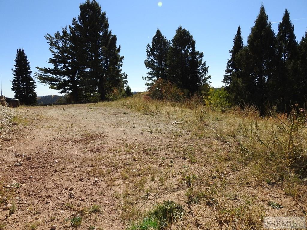 Tbd Sellers Creek Road Firth, ID 83236 - Photo 9 of 28