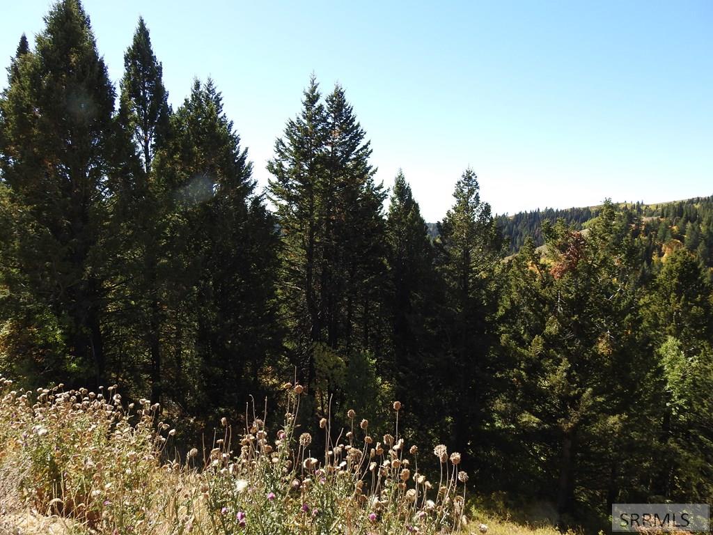 Tbd Sellers Creek Road Firth, ID 83236 - Photo 10 of 28