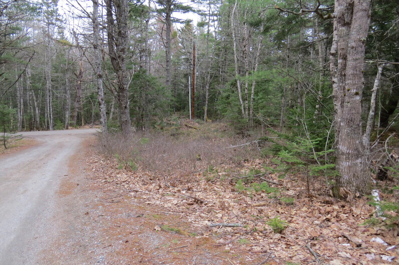 23 Porcupine Road Sullivan, ME 04664 - Photo 16 of 27 IMG_0200